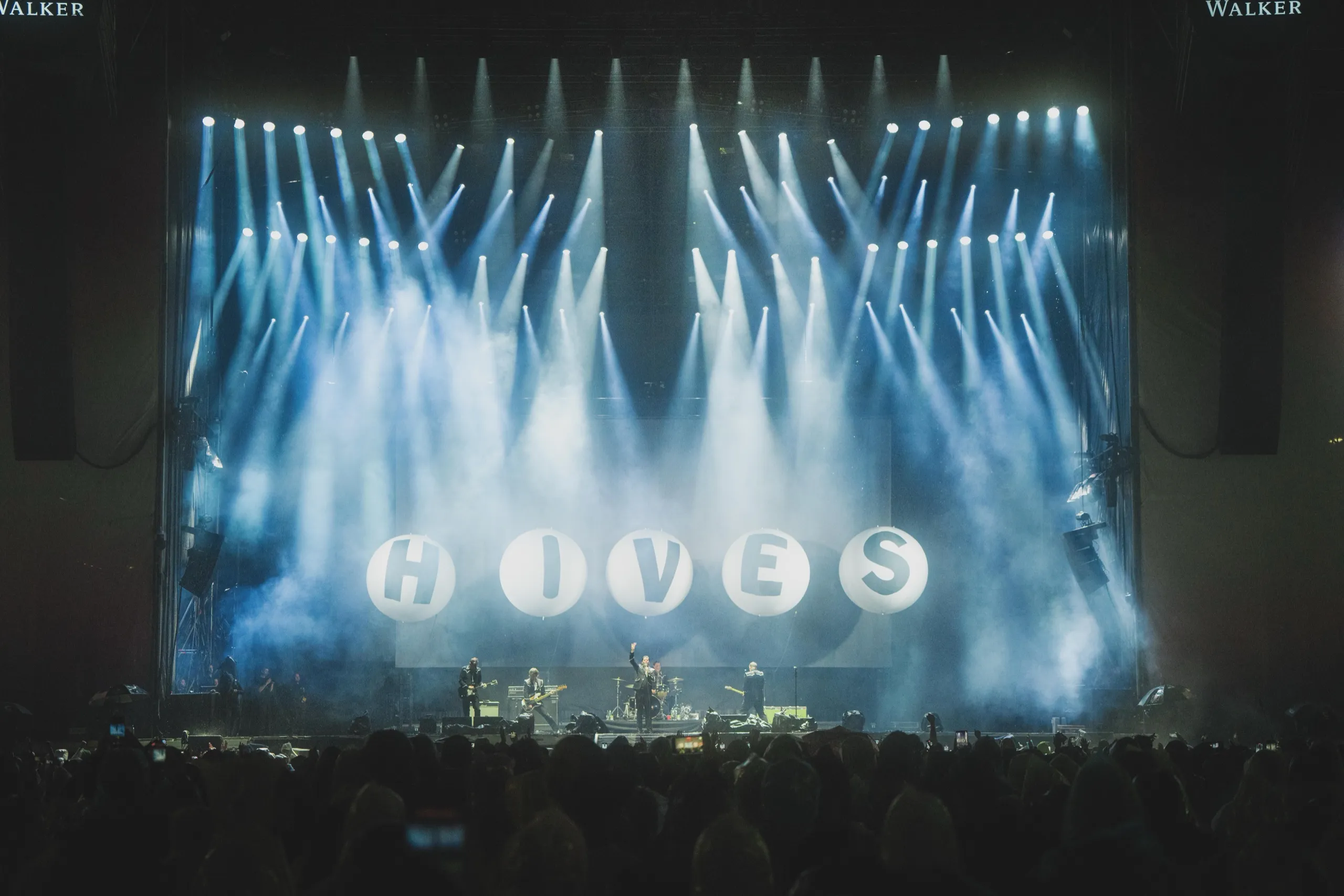 The Hives